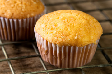tasty pumpkin white sesame seed muffins, pumpkin cupcake.