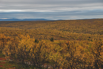 View of mountain s and autumn forests of Finnmark, Norway 