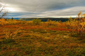 Fototapeta na wymiar Colors of northern Norway in autumn 