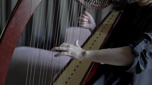 Girl playing the harp. Stringed musical instrument and young women touching strings. Traditional musical instrument. Close up of fingers on strings, harpist playing classical melody