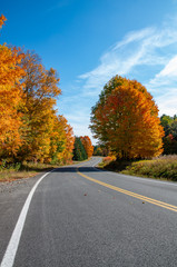 Fall colors in the North country NY