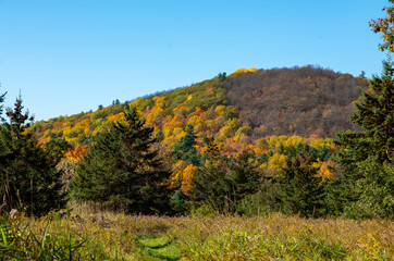 Fall colors in the North country NY