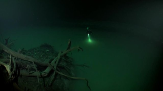Diver disappears in muddy water halocline near tree roots and sudden change of water salinity in cenotes of underwater cave in Mexico. Cave diving. Phenomenon of wildlife in underwater world.