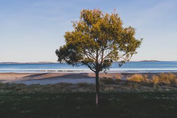 Tasmanian beach landscape view in Hobart shot at dusk with soft light