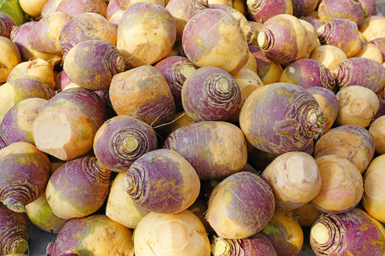 Purple and white rutabaga swede root vegetable at a farmers market in the fall