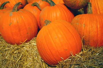 Display of round orange pumpkins at the farmers market in the fall