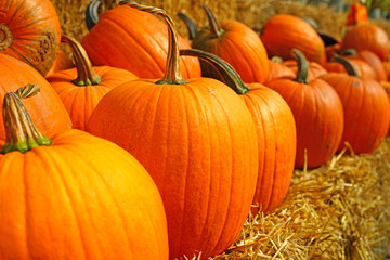 Display of round orange pumpkins at the farmers market in the fall