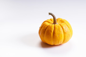 orange pumpkin on white marble background