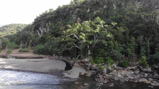 wild jungle coastline on a tropical island in vanuatu