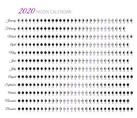 Moon illumination and moon age at 2020 year. Daily planner of lunar cycles. Moon stages calendar on white background. Dates for full, new moon and every phase in between vector illustration.