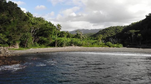 wild jungle coastline on a remote tropical island in vanuatu