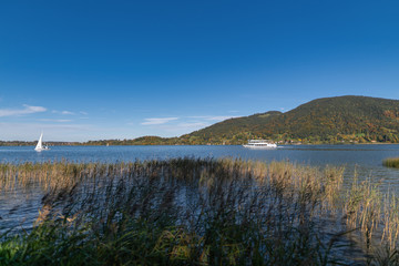 A beautiful lake hidden behind some autumn colored plants with a mountain in background.