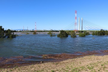 台風の大雨で増水した荒川