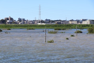 台風の大雨で増水した荒川