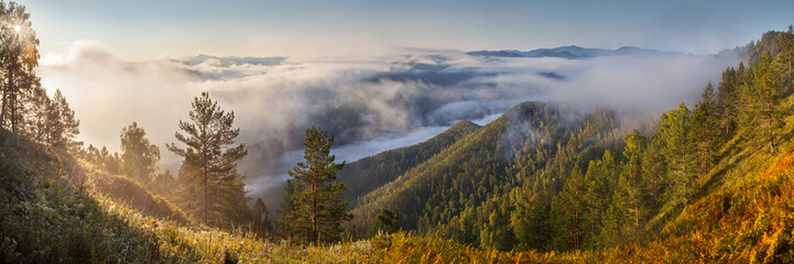 Autumn view of a mountain valley covered with fog, panorama landscape