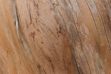 Fototapeta premium 木目の背景素材