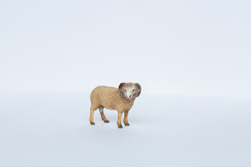 miniature figure of animals toy. Plastic sheep toy on white