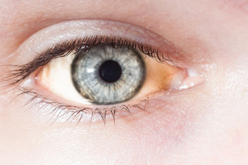 Obraz premium The yellowed human eye close-up. Blue retina and yellow squirrel.