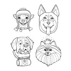 Portraits of a dogs on a white background. Vector illustration.