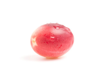 Closeup carissa caranda or fresh organic karanda fruit with water drop isolated on white background, Has medicinal properties to help treat various diseases.