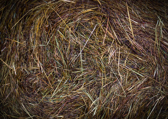 wet hay harvest texture at rainy day. vignette, background, agricultural.