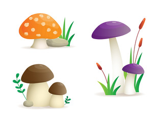 Mushroom set, different mushroom Illustration.