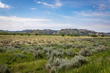 Theodore Roosevelt National Park North Unit