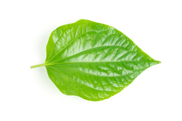 Fototapeta na wymiar Piper betle leaf isolate on white background, Properties as herbs to help treat diseases.
