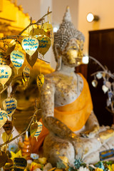 Obraz premium Buddhists who come to make merit Wrote the name at the replica Sri Maha Pho tree Which is used in the decoration of the interior of the Mongkol Bophit temple