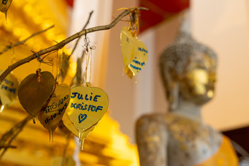 Buddhists who come to make merit Wrote the name at the replica Sri Maha Pho tree Which is used in the decoration of the interior of the Mongkol Bophit temple