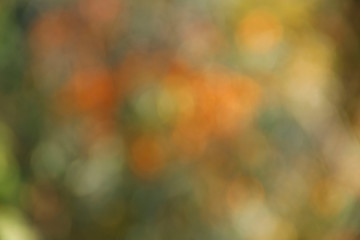 Abstract yellow colors. Horizontal color abstract background. Colorful texture Background texture. Blur image of yellow light. Blurred lights on orange with green background. Blurred image