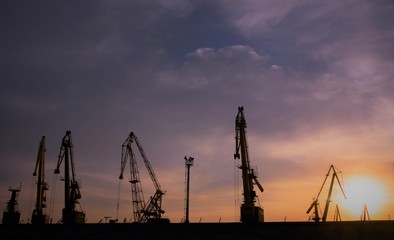 Obraz premium silhouette of harbor cranes in evening
