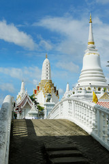 Fototapeta na wymiar bridge to coming in buddhist temple, in thailand 