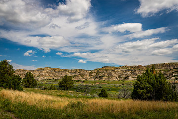 Theodore Roosevelt National Park North Unit