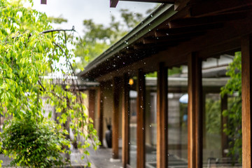 徳川園と雨粒