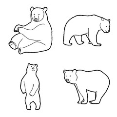 Bear Animal Vector Illustration Hand Drawn Cartoon Art