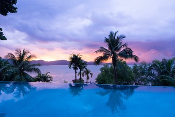 Coconut trees reflex with swimming pool under sunset light