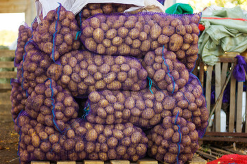 potatoes in bags lies in a large pile, harvesting for the winter, farming, wholesales