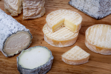Fototapeta na wymiar french goat's milk cheeses called cabecou, chabichou, valençay