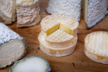 Fototapeta na wymiar goat's milk cheeses called cabecou, chabichou, valençay
