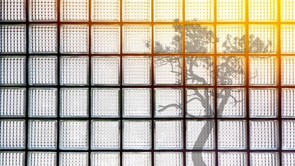 Abstract square pattern with flare  light and shadow of tree on surface of glass blocks wall background in home interior architecture design concept, view from inside room