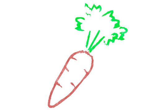 Colorful carrot brush. Vegetables background