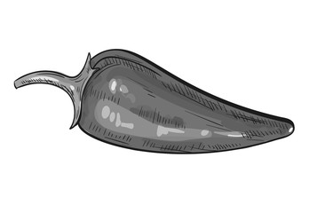 Abstract black pepper brush isolated on white background