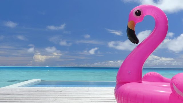 Seamless Loop video: Pool Beach Vacation travel concept with inflatable pink flamingo float toy mattress by luxury swimming pool. Luxury lifestyle summer holidays travel background video.