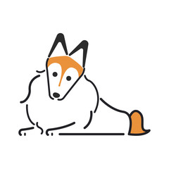 犬　ポーズ　表情　１匹　フセ　シェットランドシープドッグ