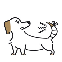 犬　ポーズ　表情　１匹　怪我　ミニチュアダックスフンド
