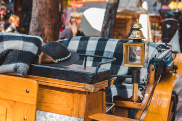 horse coach, close up at tourism city street