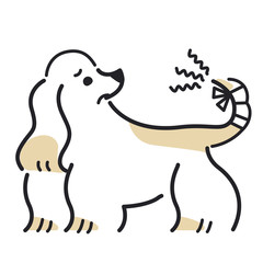 犬　ポーズ　表情　１匹　怪我　アメリカンコッカースパニエル