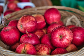 Basket of freshly picked red apples at the farm