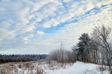 Winter landscape with blue sky and white clouds above field with snow and forest on the horizon